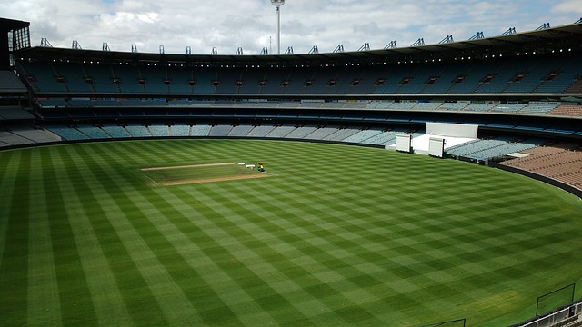 申花的反击 申花的反击