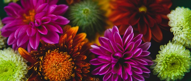 好地认识这 好地认识这