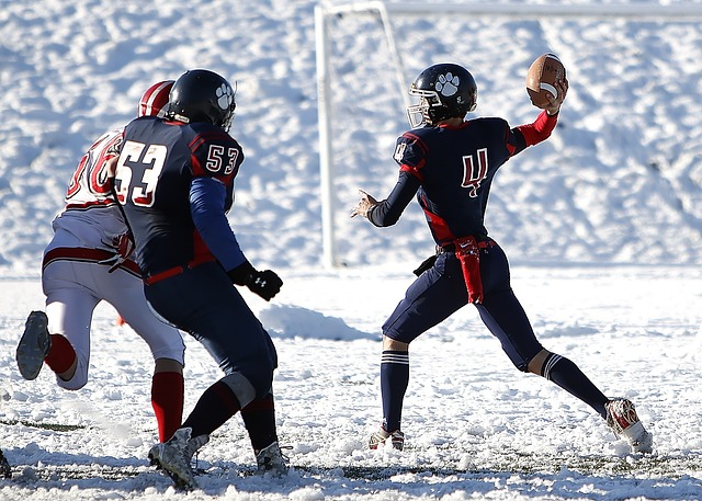 的战术适应 的战术适应